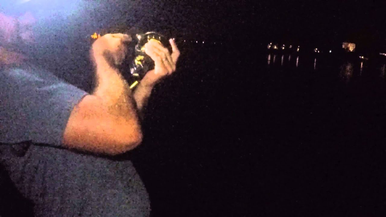 42 inch Snook Battle