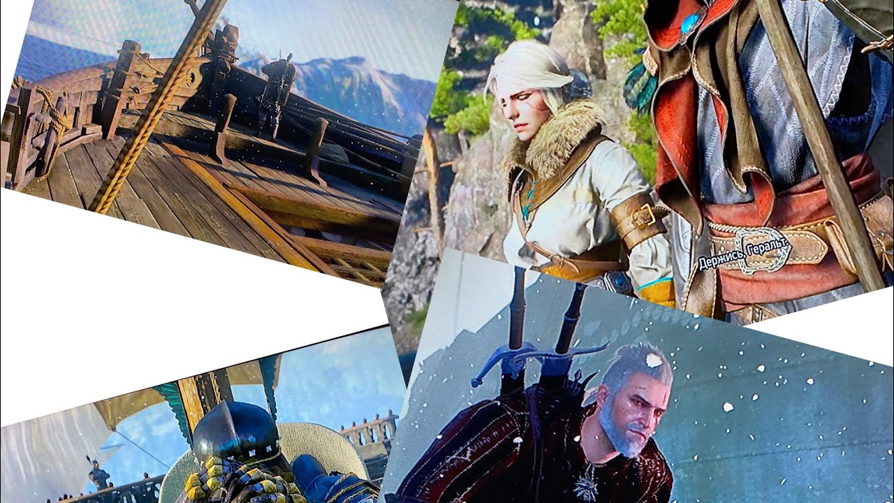The WITCHER WILD HUNT