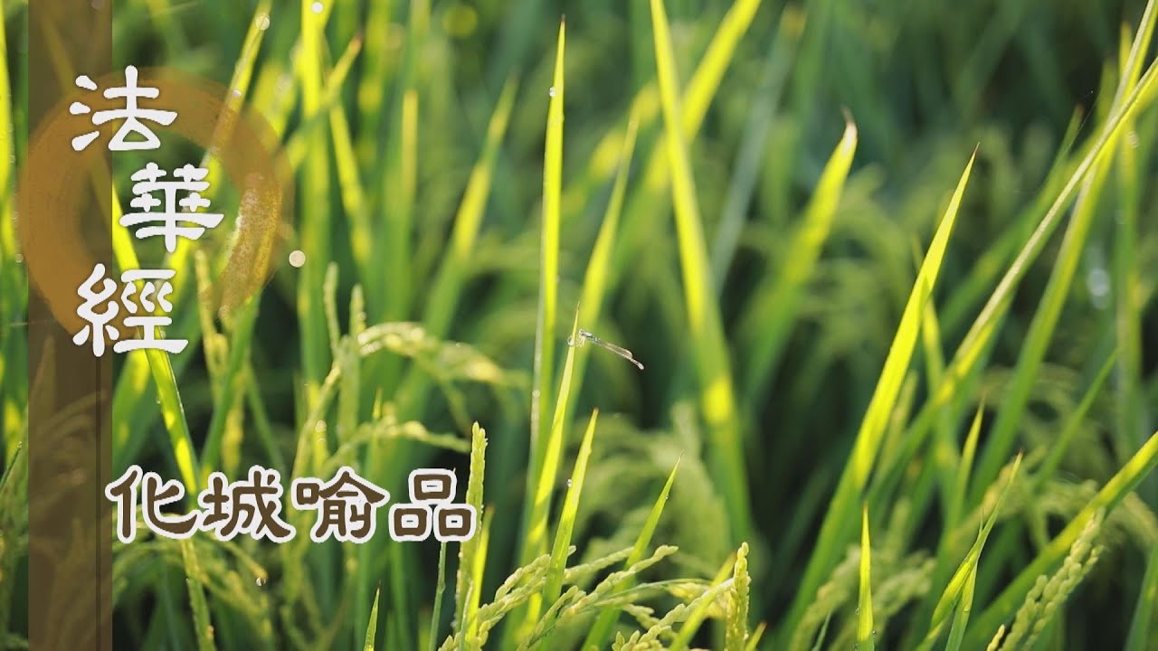 【靜思妙蓮華】法華經化城喻品 - 難得法雨潤飢虛 - 20211115 第1024集