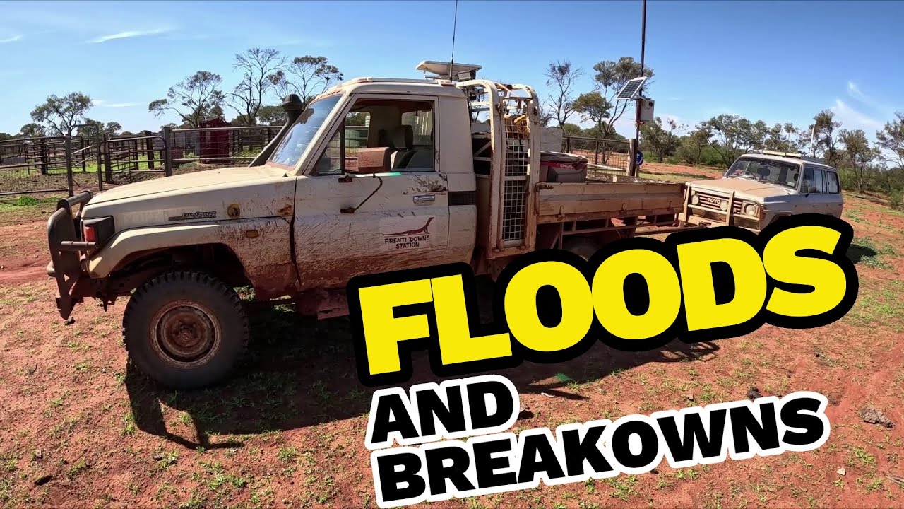 Adventures in Canberra and Road Troubles in the Outback