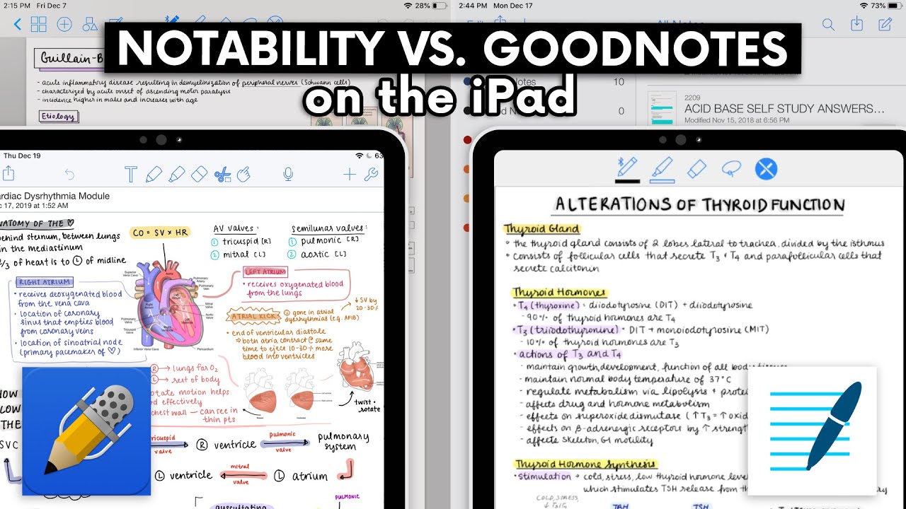 NOTABILITY VS. GOODNOTES НА IPAD ✍🏻