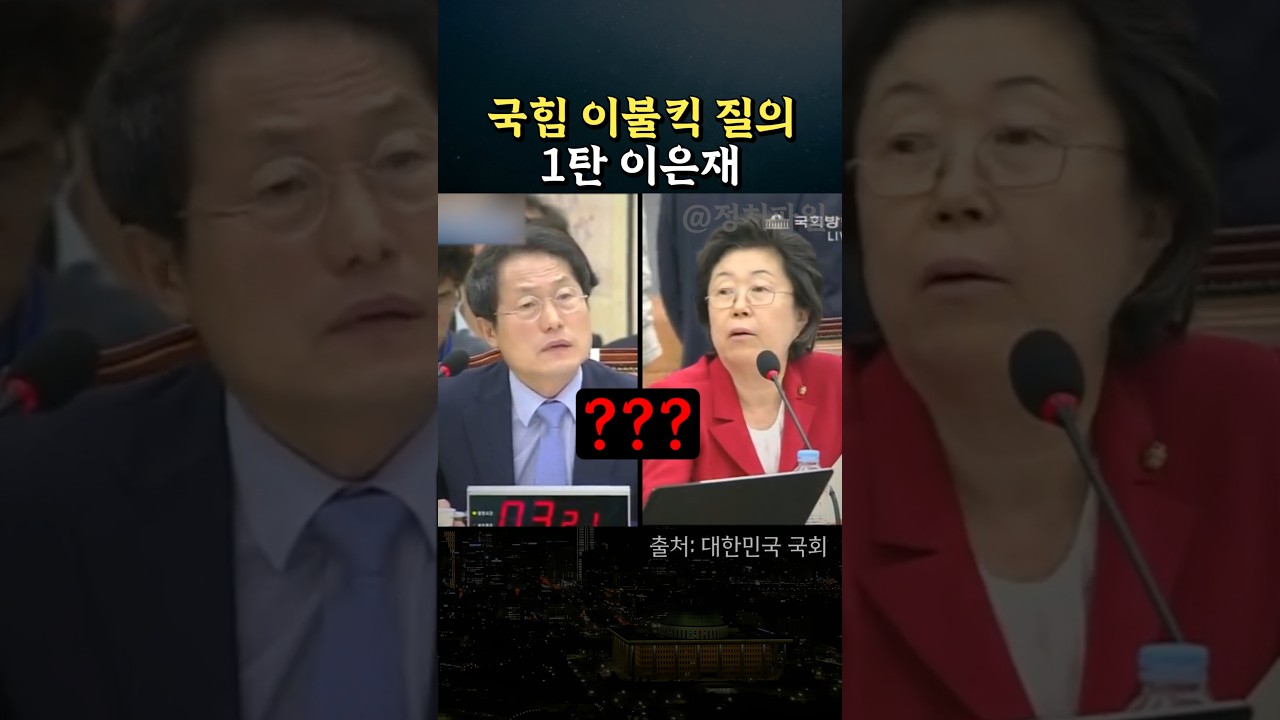 국힘 이불킥 질의 1탄, 이은재 전 의원 #정치