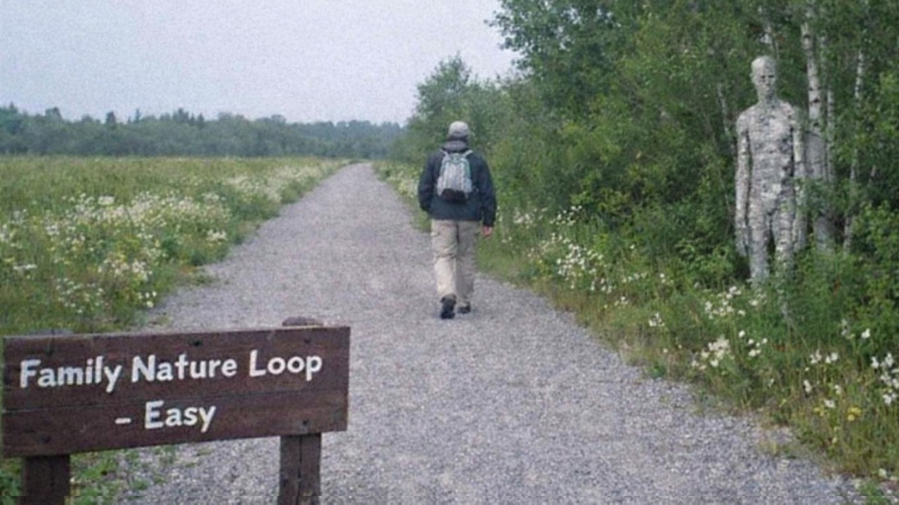 Why Is This ‘Easy’ Trail Causing Experienced Hikers To Keep Disappearing?