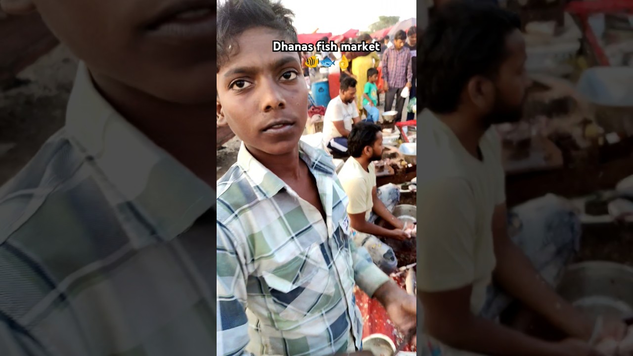 Bhai ye dekho gays #danash #fish #markit #vairalshort #viralvideo #amazinganimals #amazinganimals