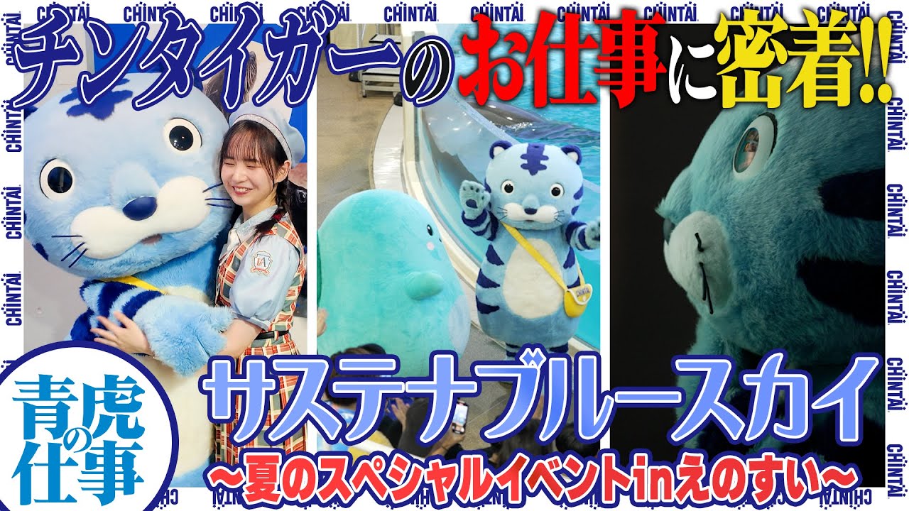 新江ノ島水族館「青虎の仕事」｜CHINTAI