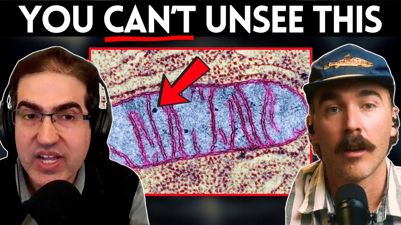 NEW Scientific Discoveries Are Pointing To GOD (Here's the Proof!)