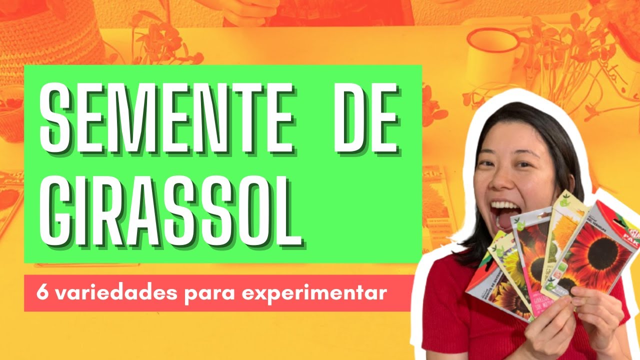 6 variedades de semente de GIRASSOL para comer -  microverdes de girassol