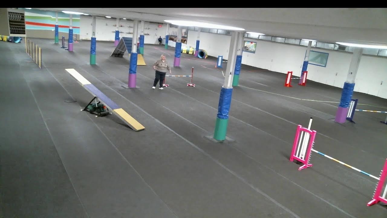 TCOTC Agility Trial Feb/March 2026