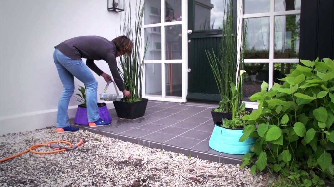 Waterplanten als decoratie