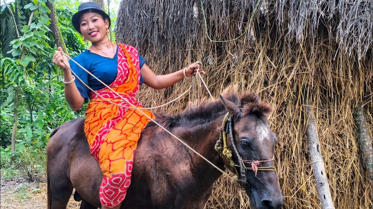 Amazing Horse Riding in Village | Desi Horse Ride Fun Video 🐎😍