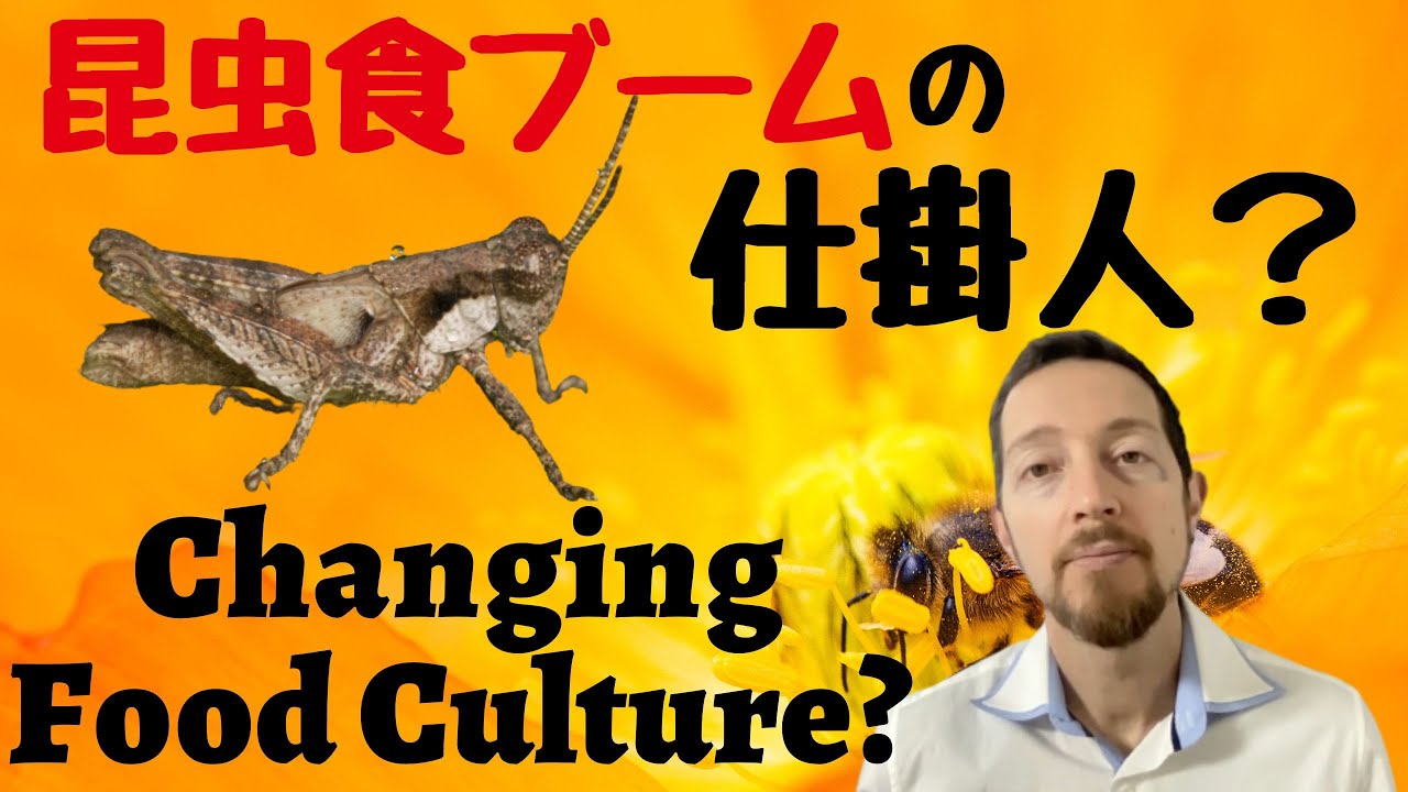 The Insect Food Revolution: how to create a demand for insects | #58