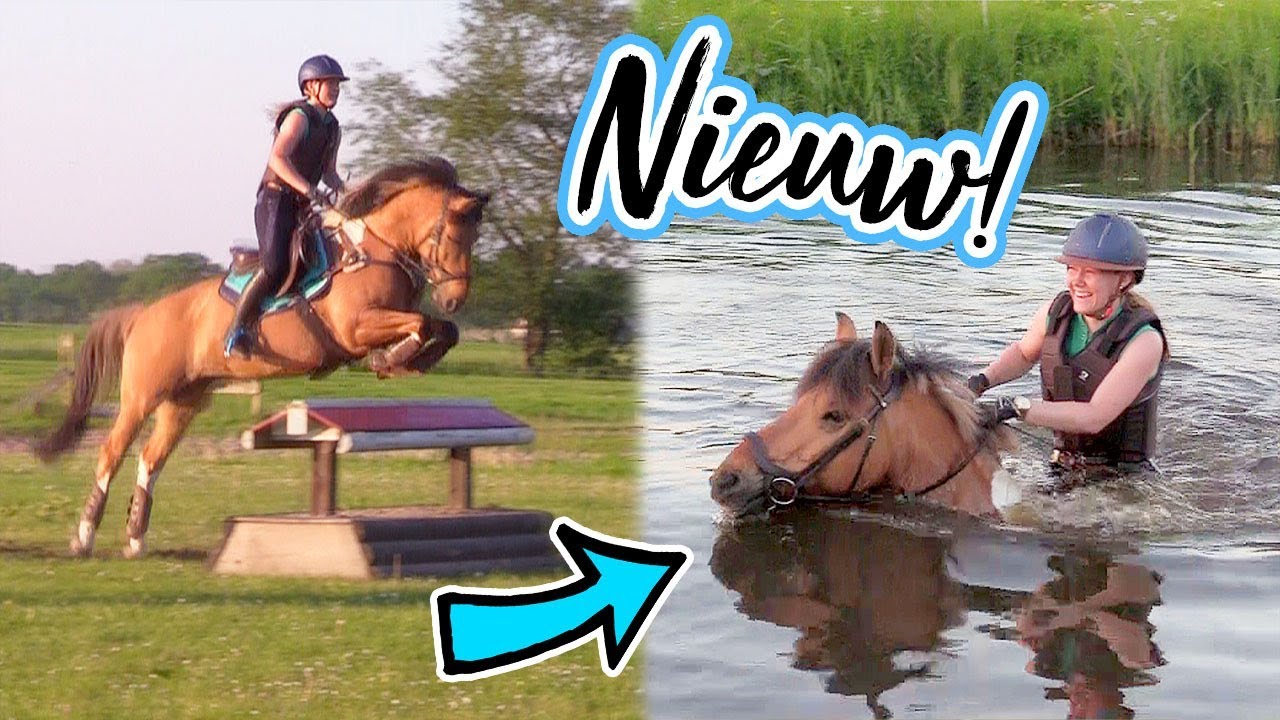 Zwemmen tijdens de crossles met nieuw hoofdstel! | felinehoi VLOG #113