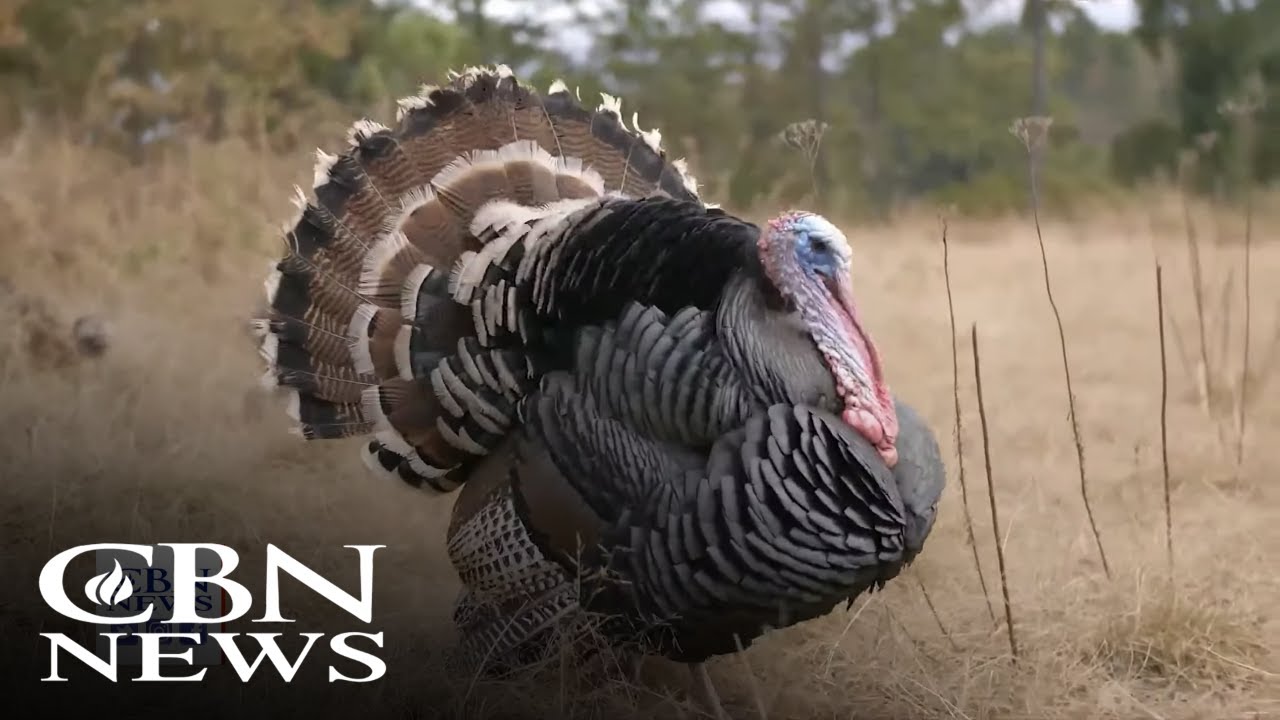 One in Four Americans Skipping Thanksgiving Due to Soaring Food Costs
