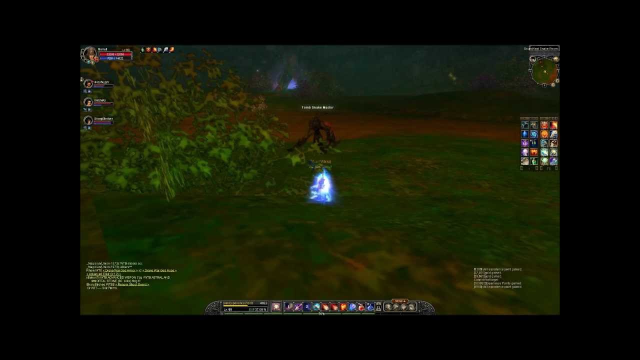 Silkroad Game playing video at level 99 (private)
