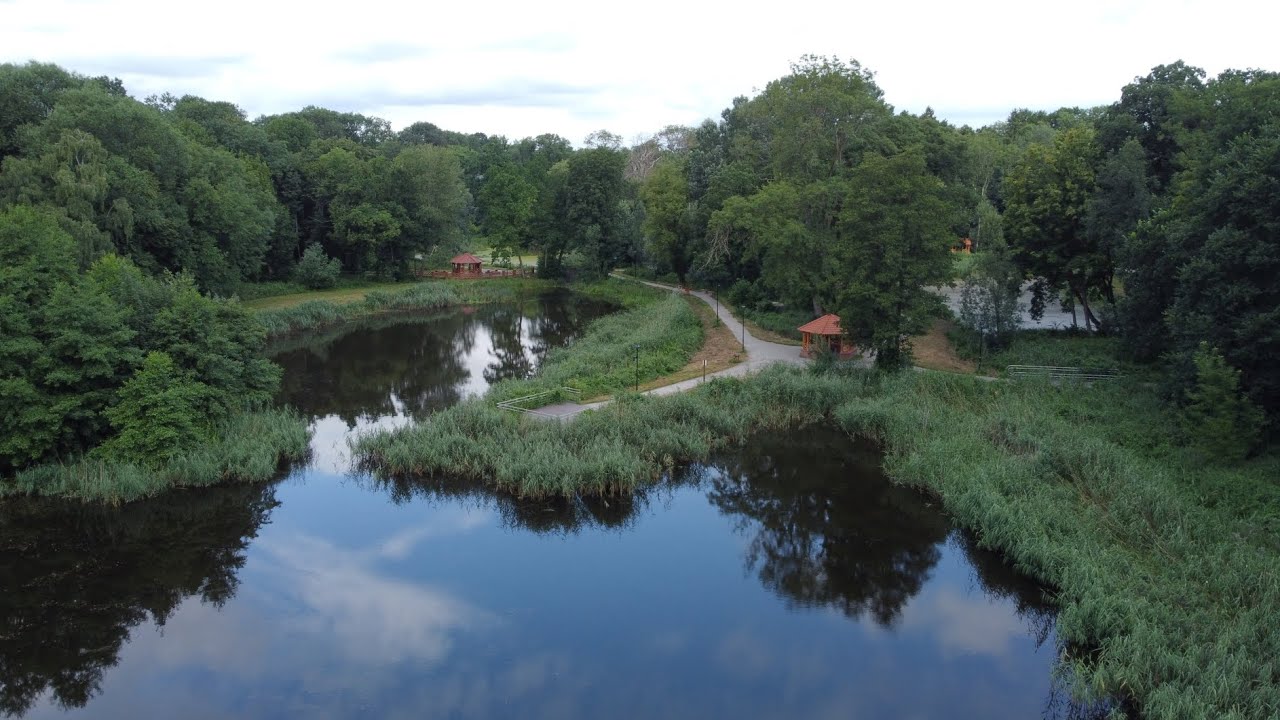 🌿🌳Syrenie stawy 🌳🐸🐝