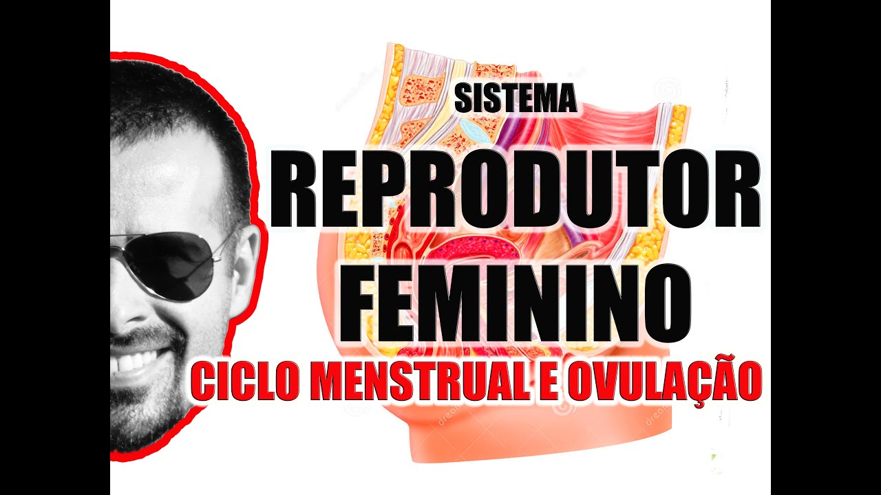 Ciclo Menstrual (menstruação) e Ovulação - Sistema Reprodutor Feminino - VideoAula 050