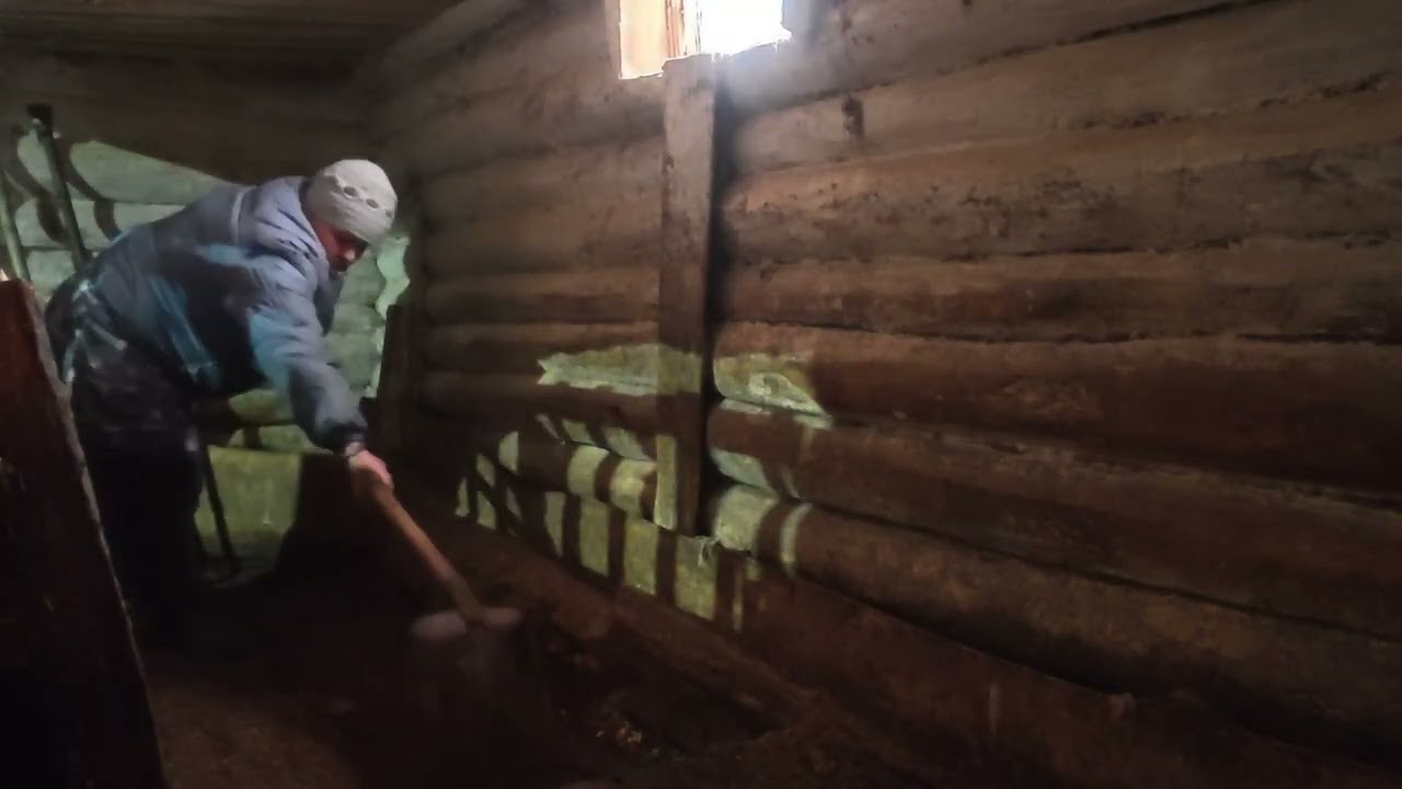 У нас пополнение