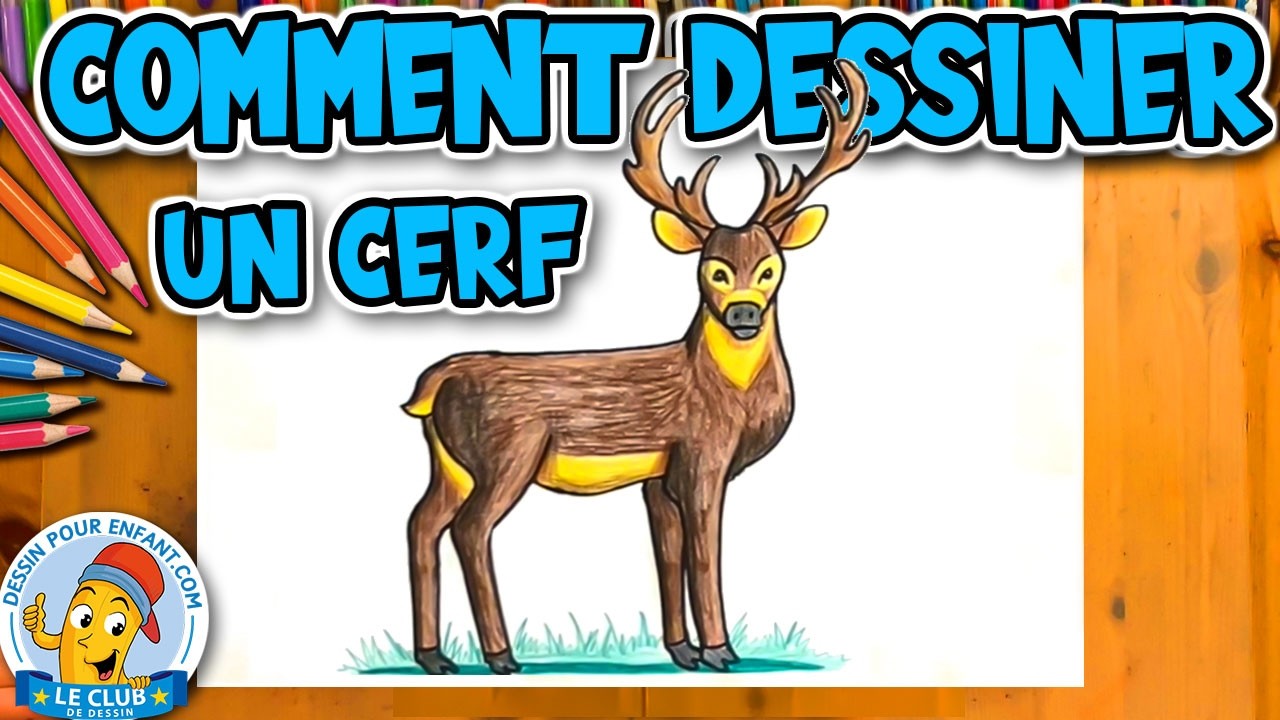 Comment dessiner un CERF