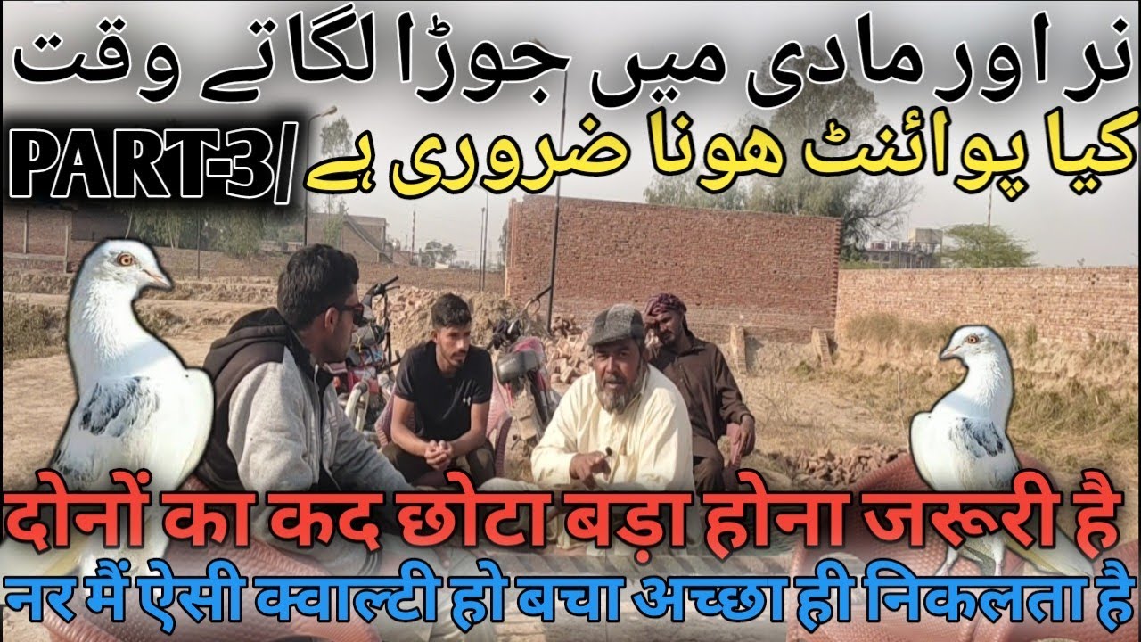 PART,3,, BOTH Hi ACHi TiPS JORALAG KA HAWALA SA|| Masstar Gaffar|| दानों ही एके हों तब जोर बनता है||