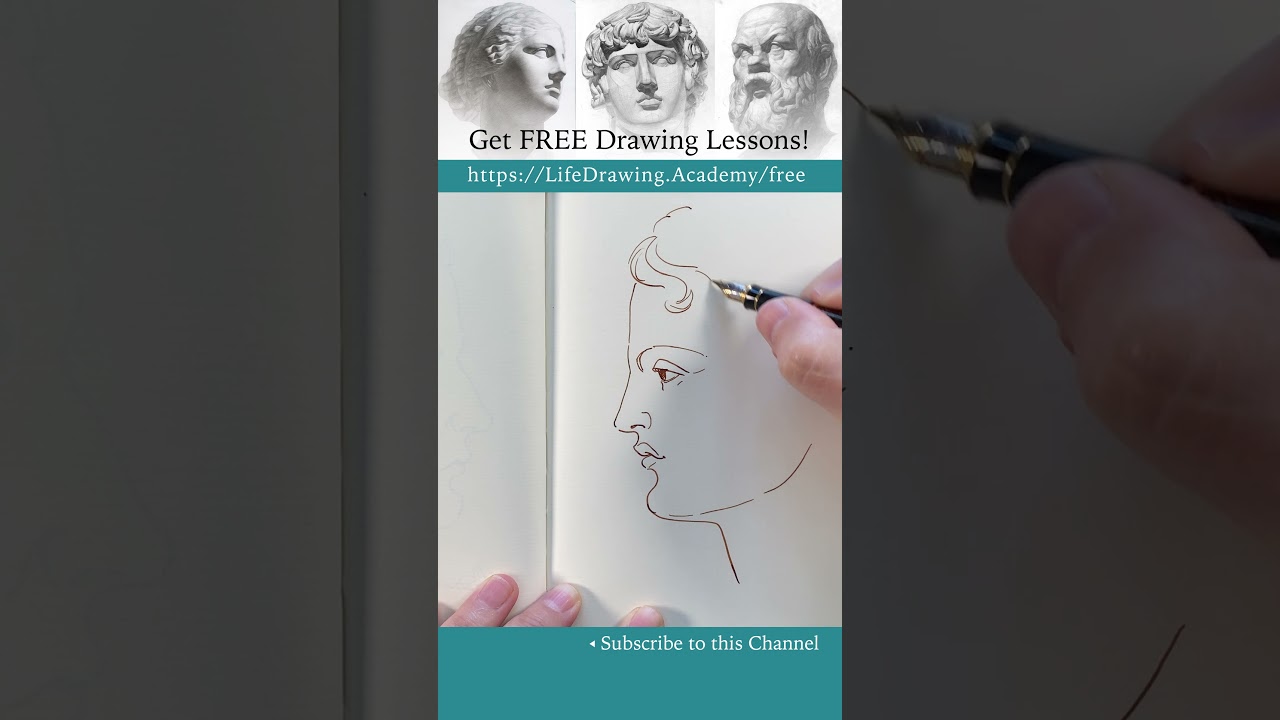 Sketching a Face in Profile:  