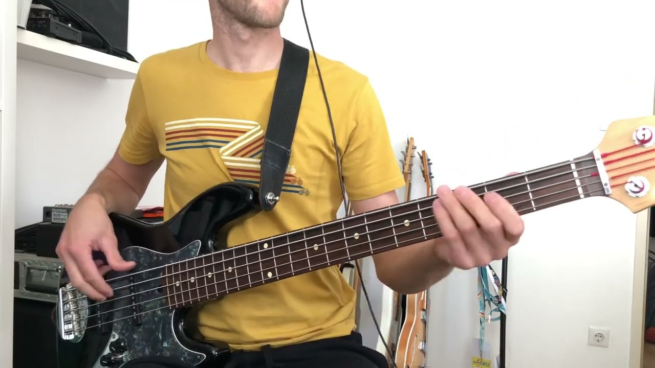Shania Twain - If you wanna touch her, ask! - Bass Cover