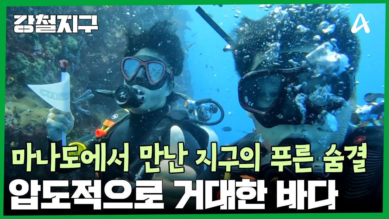 두 눈으로 봐도 믿기지 않는 풍경, 마나도에서 만난 지구의 푸른 숨결 | 강철지구 53 회