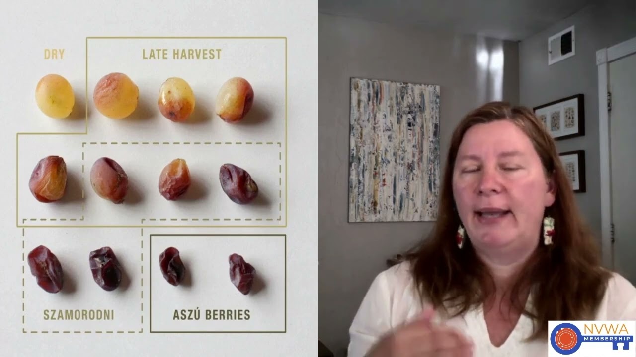 Late harvest wine in Tokaj - Hungary Wine Trip - Napa Valley Wine Academy