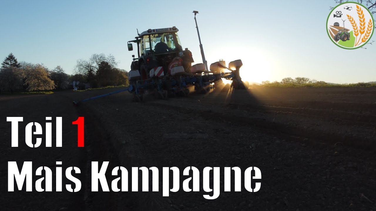 Mais legen 2022 (4k) Landwirtschaftlicher Betrieb Sattler