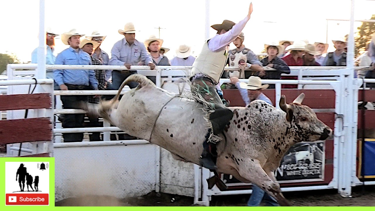 Bull Riding - 2024 White Deer Rodeo (Censored)