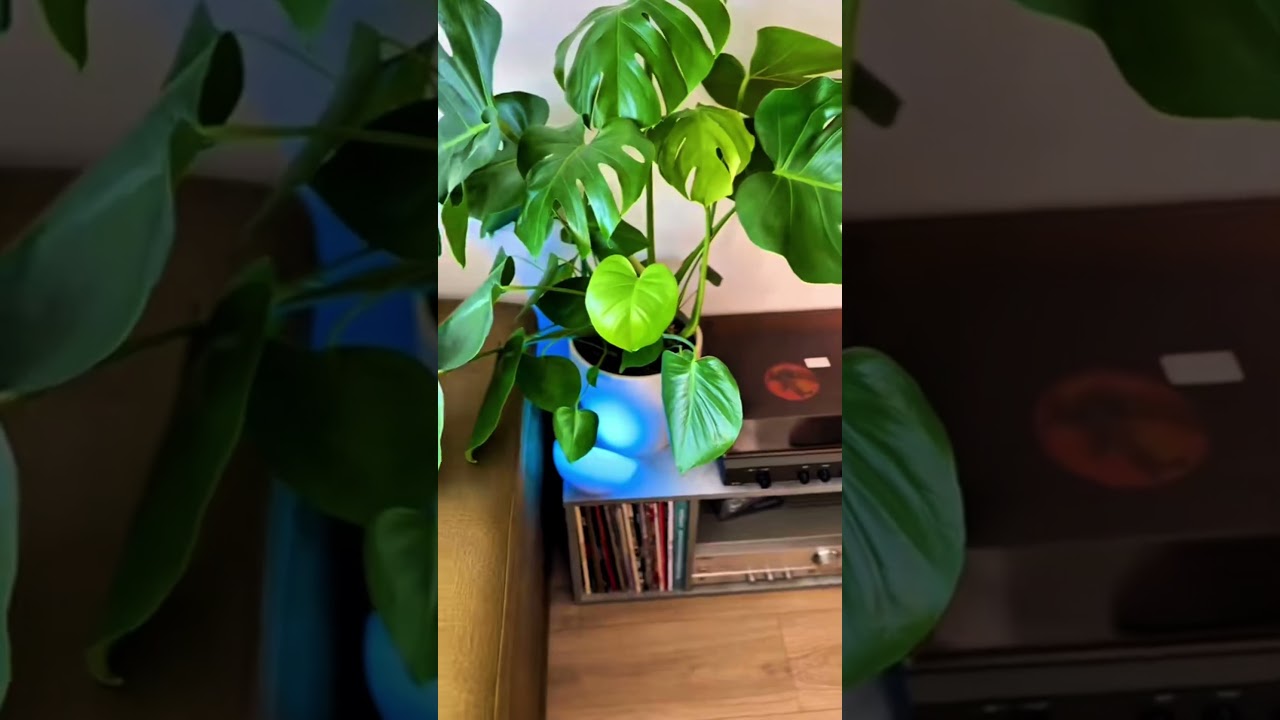 He is about to light up their world with the Hue Go!  #smartphone #smartlighting #philipshue