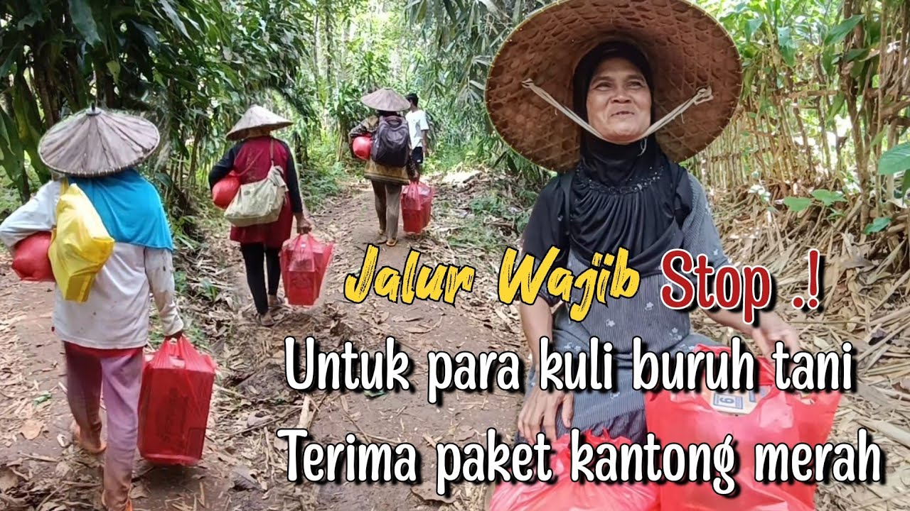 WAJIB STOP ! PARA KULI BURUH TANI MENDADAK TERIMA PAKET KANTONG MERAH