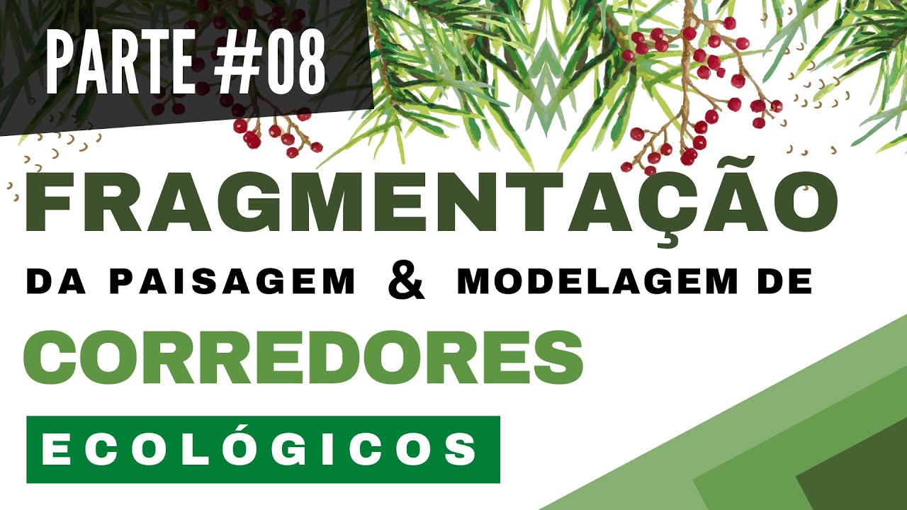 PARTE #08 | ANÁLISES SOBRE REMANESCENTES DE VEGETAÇÃO NO CORREDOR