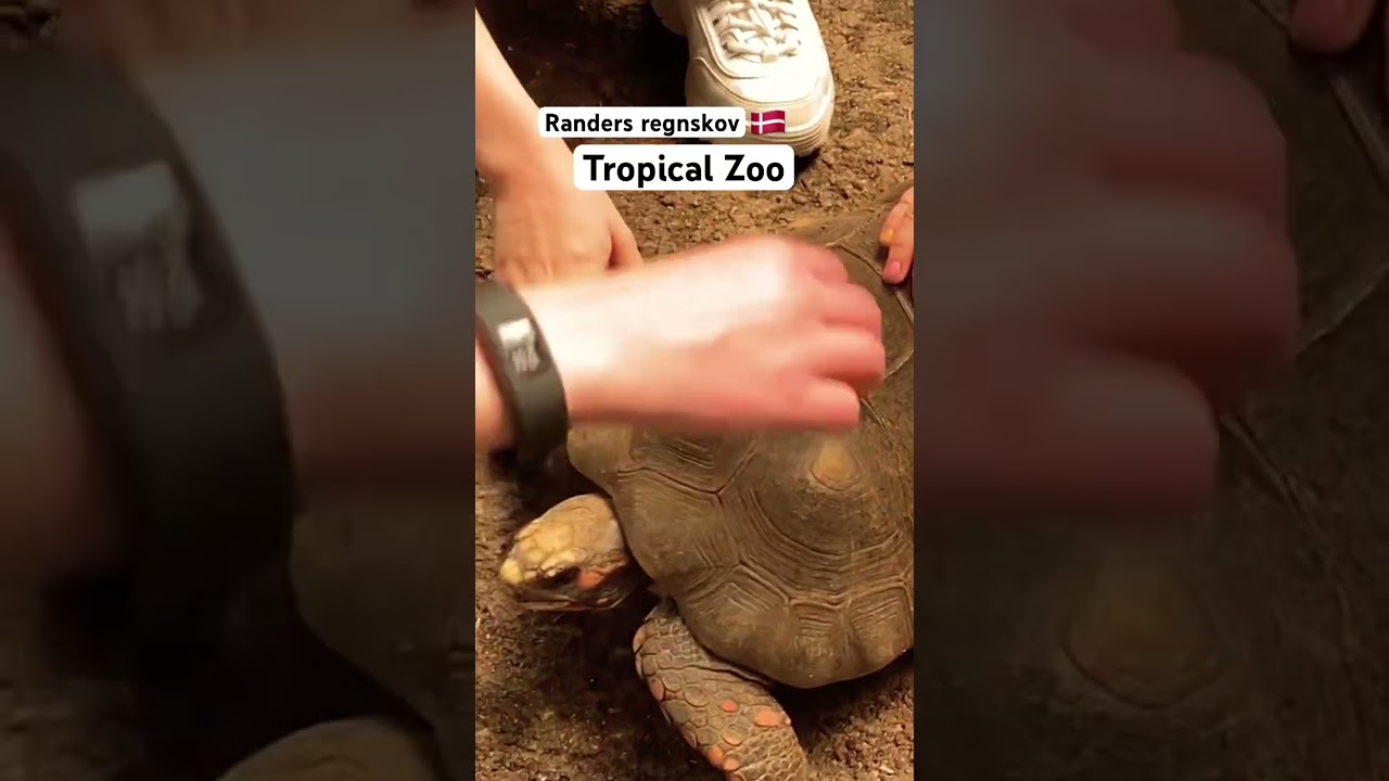 Randers Regnskov. The tropical Zoo in Randers Denmark🇩🇰