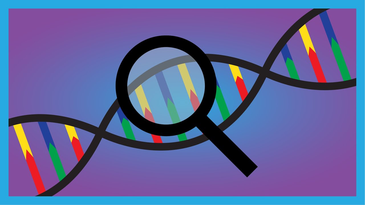 &iquest;C&oacute;mo se hacen las pruebas de ADN?