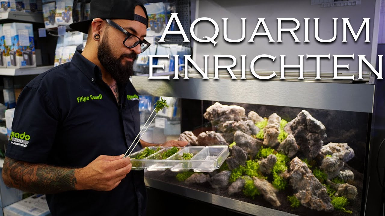 Laden-Aquarium einrichten - Aquascape im Oase Highline 200 | Aquado-Zoo Dortmund