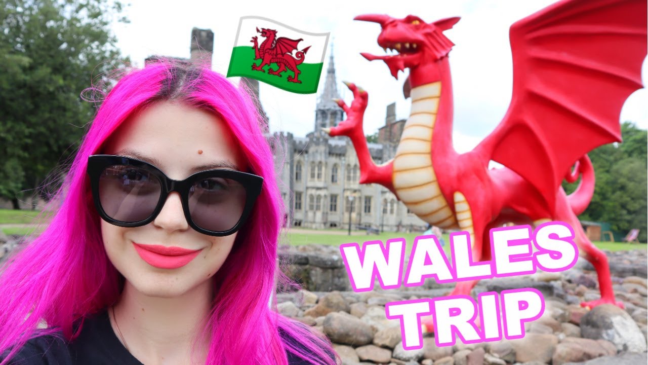 Getting Robbed In Wales/ Cardiff Travel VLOG