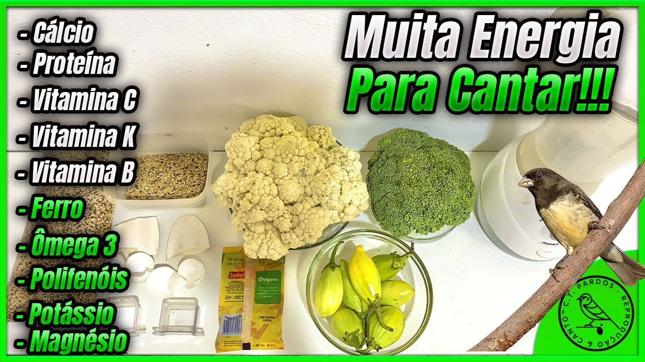 MELHORAR CANTO PAPA-CAPIM RECEITA CASEIRA FÁCIL