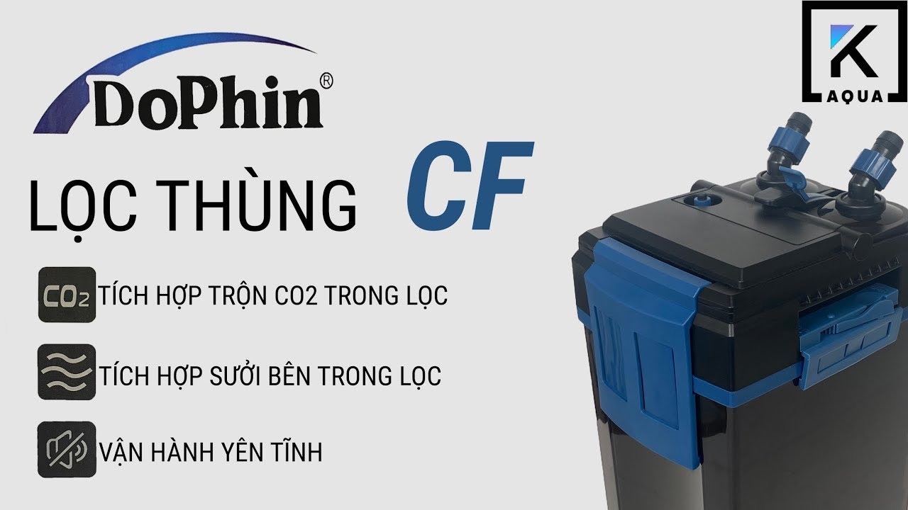 Review lọc thùng Dophin 2023 - Chiếc lọc All in One cho thủy sinh
