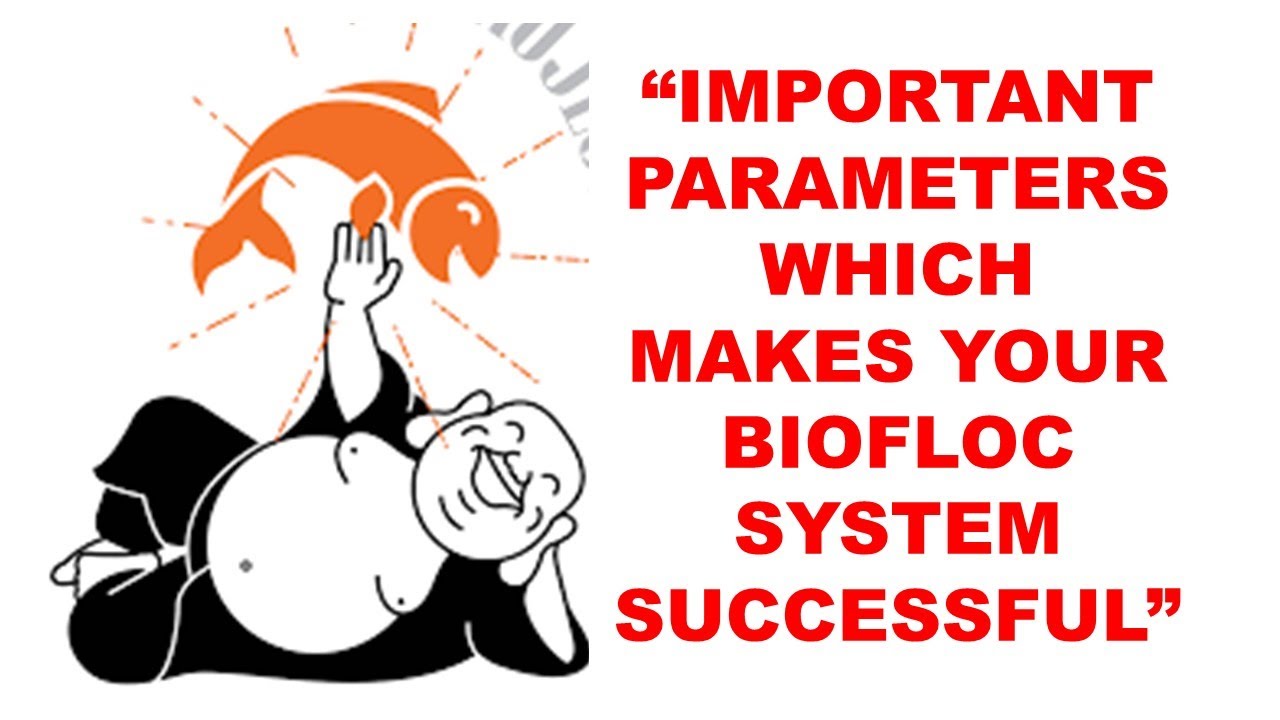 IMPORTANT PARAMETERS WHICH MAKE BIOFLOC SYSTEM 