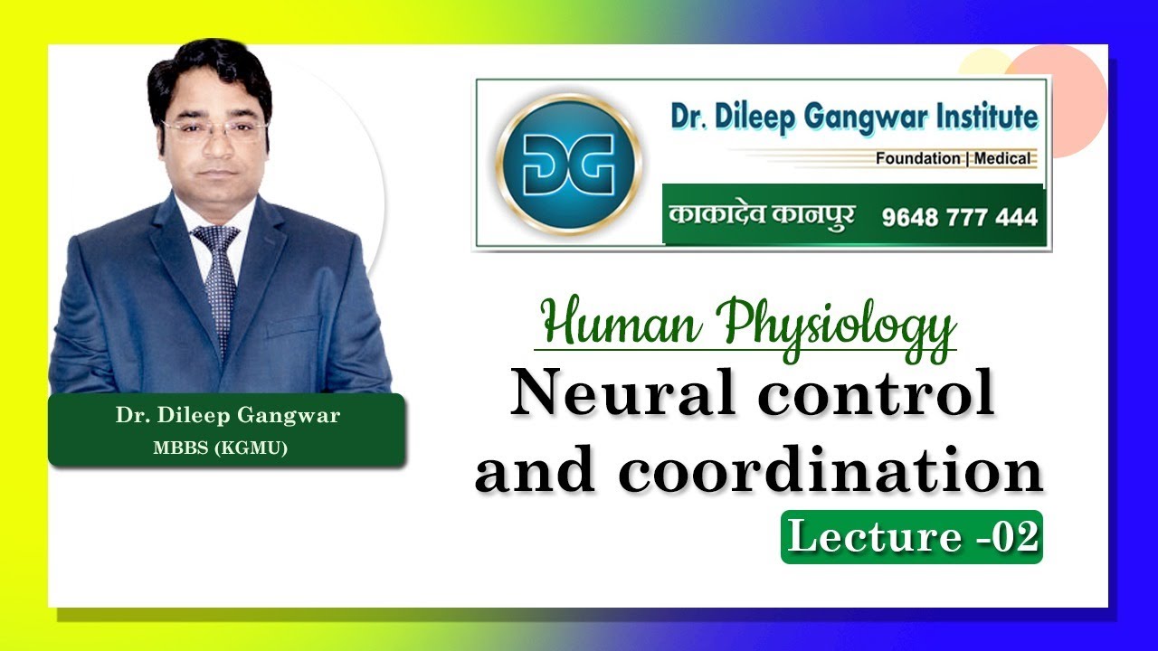 Neural Control & Coordination Lecture-2 By Dr Dileep Gangwar