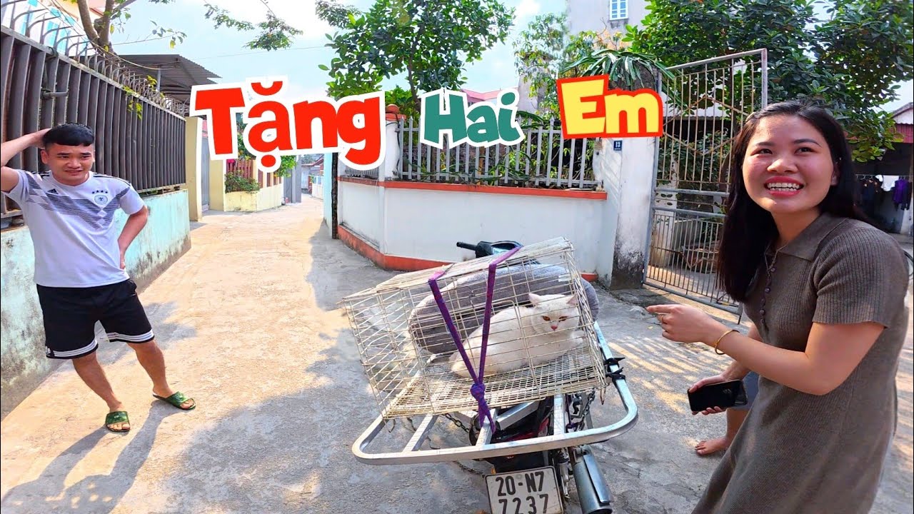 Tìm Được Chủ Mới Cho Bé Mèo Và Thả Lưới Trúng Ổ Cá - Chim Ăn Cả Năm Mới Hết / Quế Nghịch