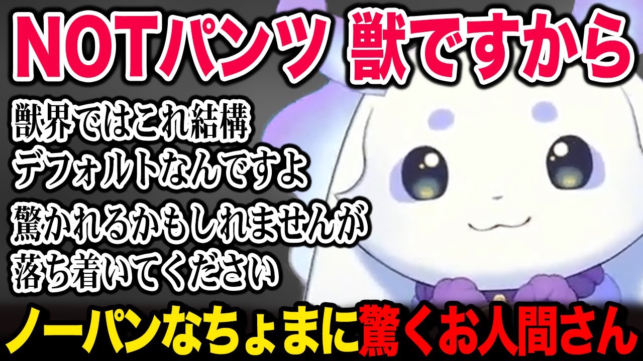 ノーパンに驚くお人間さんを落ち着かせるちょま【るんちょま / にじさんじ】