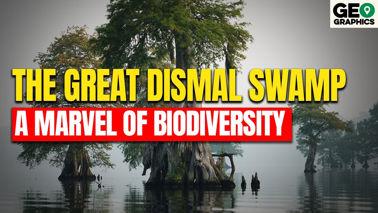 Great Dismal Swamp: A Marvel of Biodiversity