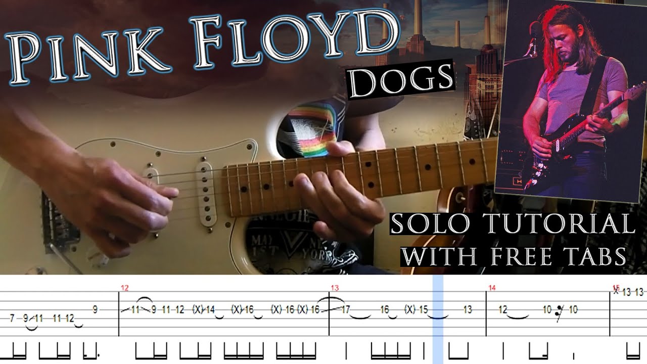 Pink Floyd - Dogs 1st guitar solo lesson (with tablatures and backing tracks)