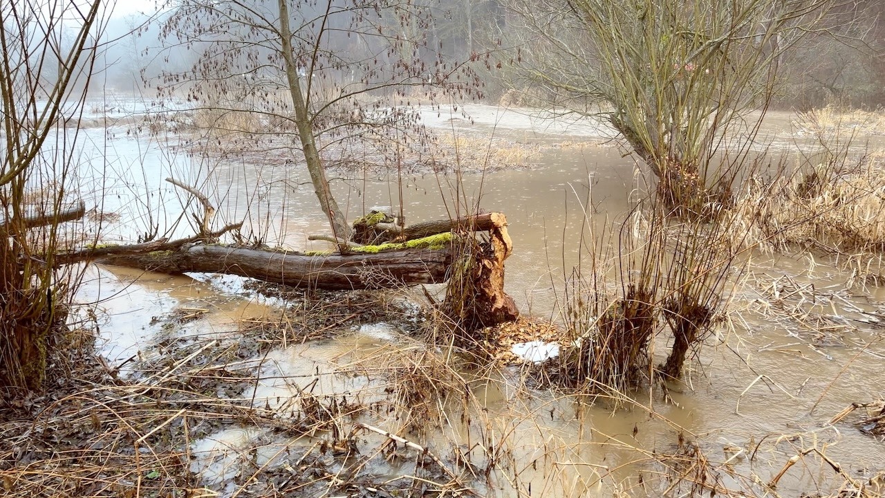 Augenblicke, unten am Fluss. Hochwasser nach dem Schnee. Raigering.