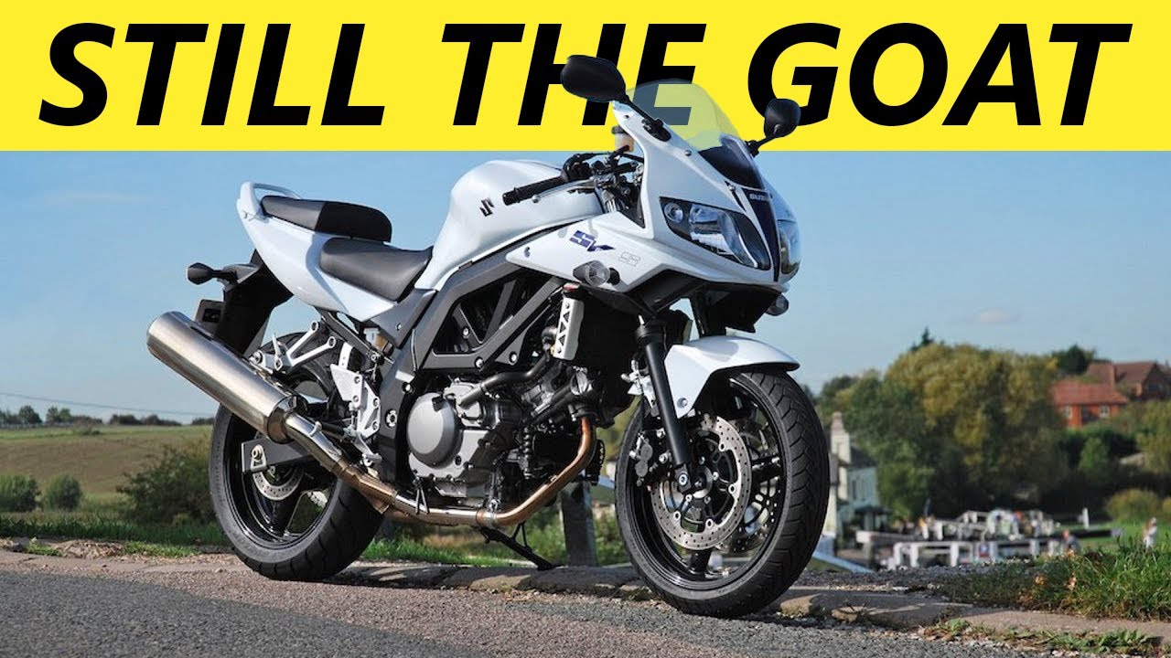 The BEST Beginner Motorcycles in 2024