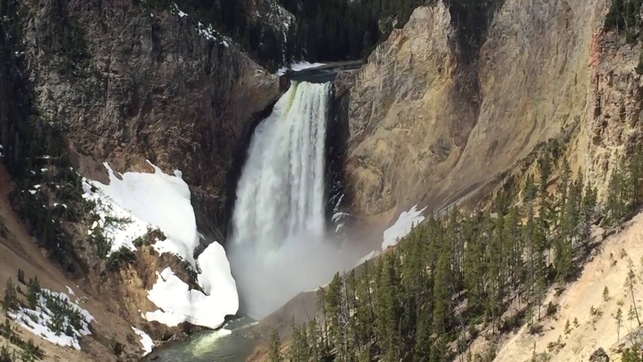 Yellowstone May 2016