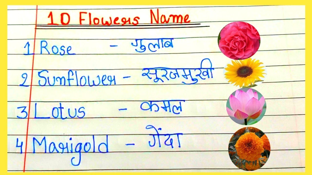10 flowers name in english and hindi|| flower name|| flower name in english|| 