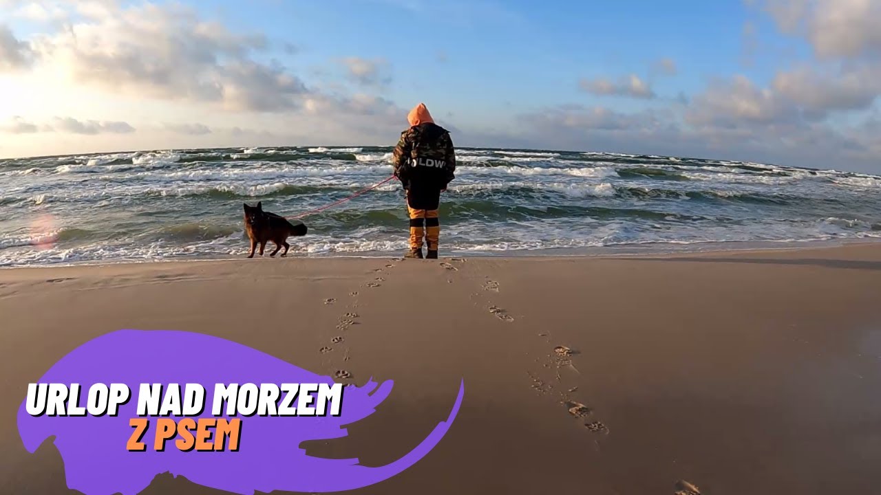 Urlop nad morzem z dużym psem:) Zakątek Wenantego Jackowo.