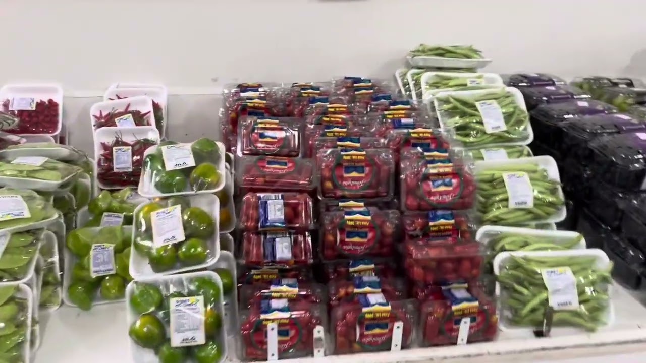 #alquiler_brasil Canasvieiras desde el Direto do Campo
